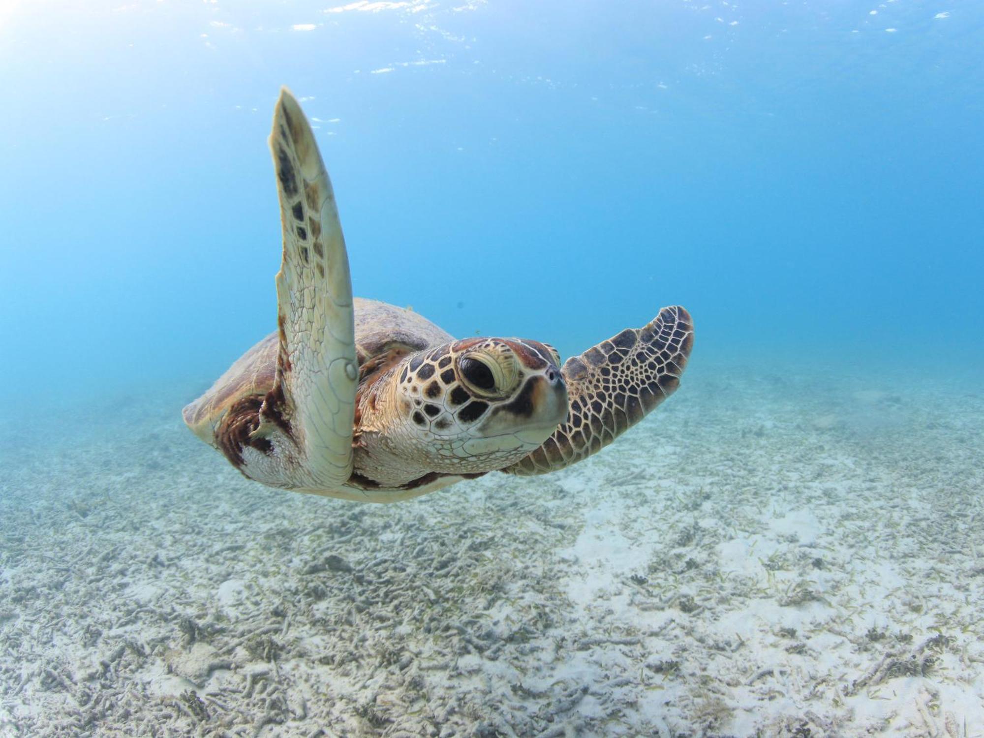Tokashiku Marine Village Токашики Екстериор снимка