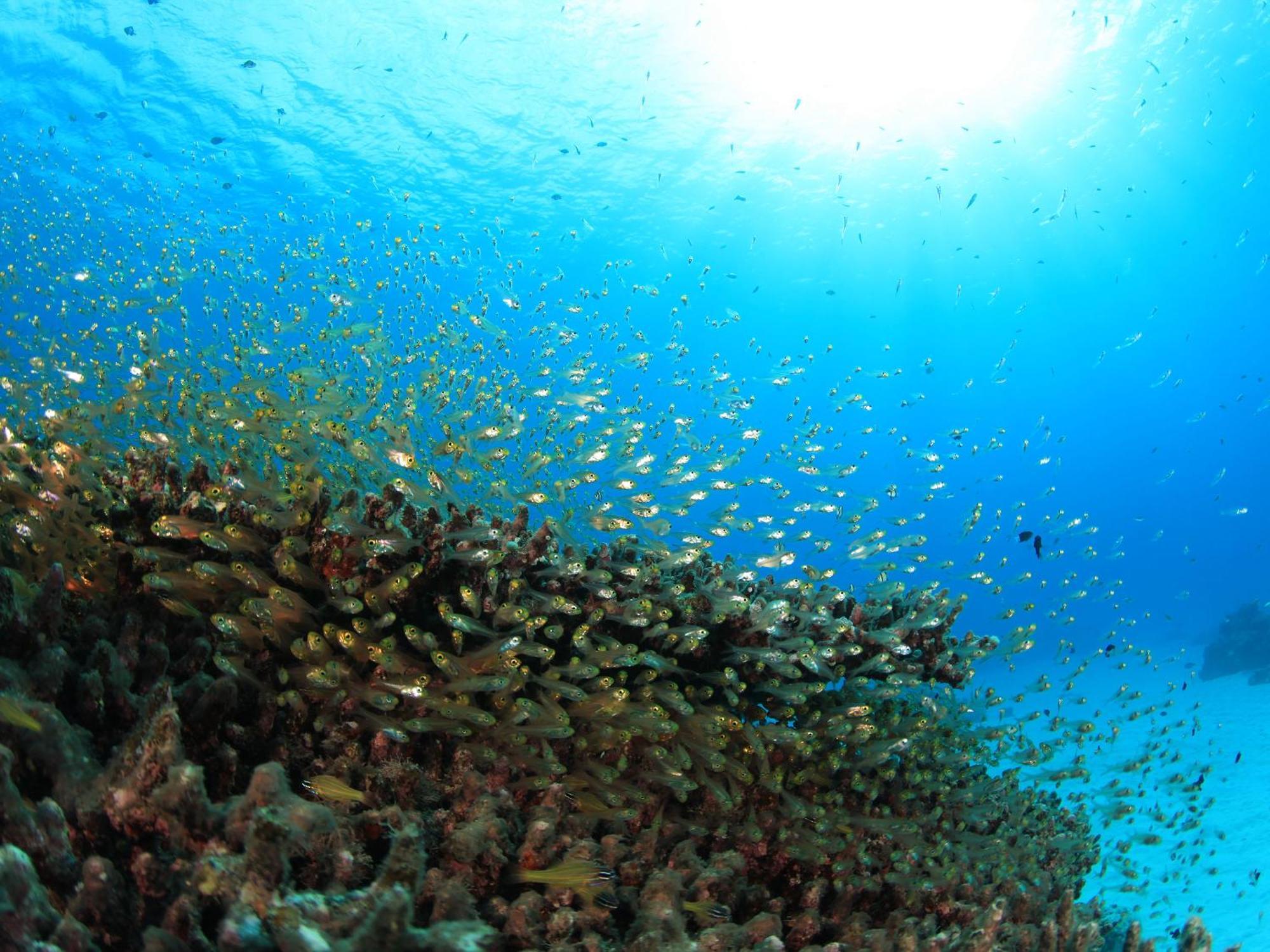 Tokashiku Marine Village Токашики Екстериор снимка